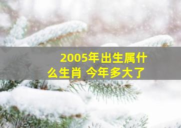 2005年出生属什么生肖 今年多大了